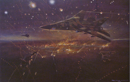 aardvarks over kuwait