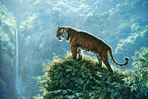 chinesetiger