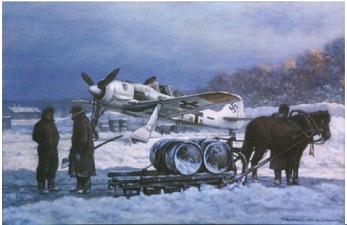 FW190 in Russia