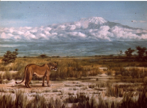 kilimanjaro