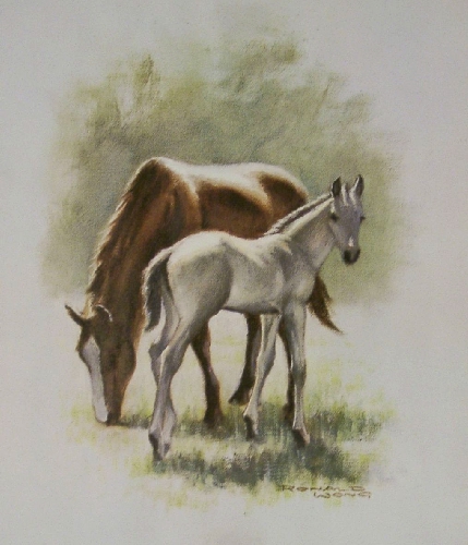 mareandfoal