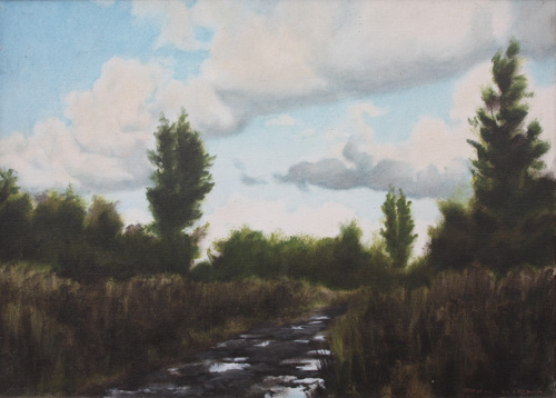 Muddy Path