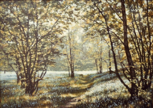 bluebellwoods