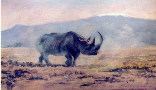 africanrhino