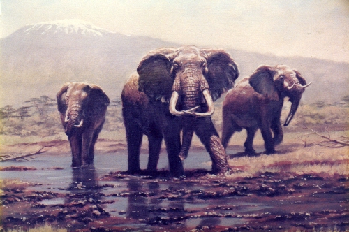 africanelephants