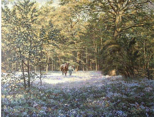 Bluebell Wood