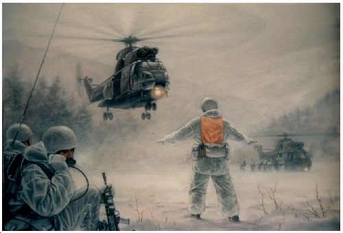 royalmarinesinnorway