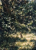youngrabbit