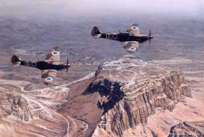 Merlins Over Zion